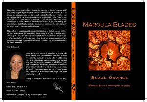 Blood Orange book cover